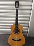 Handcrafted Horner Jr Guitar With Case HC03. Fixed Price $99.00.