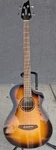 Breedlove Eco Discovery Concert Edgeburst Acoustic Electric Bass Guitar. Fixed Price $271.00.