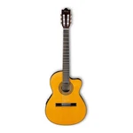 Ibanez Classical Series GA5TCE Thinline Cutaway Acoustic Electric Guitar, Rosewo. Fixed Price $299.99.