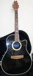 Applause AE-38 Ovation Acoustic Electric Guitar W/hard Case. Fixed Price $169.99.