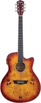 Washburn Deep Forest Burl 6 String Acoustic-electric Guitar, Right, Amber.... Fixed Price $349.00.
