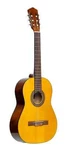 Lyons Classroom 3/4 Sized Acoustic Guitar W/ Gig Bag. Fixed Price $50.00.