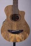 Yamaha APXT2EW 3/4 Thinline Acoustic-electric Guitar Exotic Wood. Fixed Price $259.99.