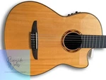 Yamaha Electric Classical NCX2000R. Fixed Price $2573.28.