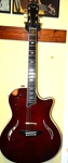 Taylor T5 Guitar. Fixed Price $1175.00.