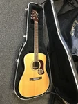 Washburn D21S Dreadnought Acoustic Guitar Handcrafted Korea 1995 Mint Case & Key. Fixed Price $800.00.