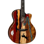Luna Vista Stallion Acoustic-electric Guitar With Case Gloss Natural. Fixed Price $999.00.