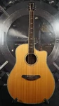Breedlove Stage Dreadnought Acoustic-electric Cutaway Sitka Spruce / Rosewood. Fixed Price $699.00.