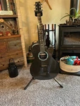 Rainsong Acoustic Guitar WS1000 Excellent Condition. Fixed Price $2700.00.