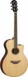 Yamaha APX600 Thinline Acoustic Electric Guitar. Fixed Price $369.99.