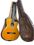 Esteban Granada G-100 Classical Acoustic Electric Guitar W/hard Case Cutaway. Fixed Price $249.00.
