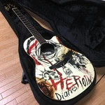 Ovation Celebrity NS28 Nikki Sixx Acoustic Guitar NO.LG415. Fixed Price $2191.13.