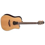 Takamine Garth Brooks GB7C Acoustic-electric Guitar W/case. Fixed Price $1999.00.