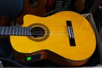 Aria A-35SCE A35SCE (NO250103). Fixed Price $408.00.