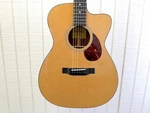 Eastman E1OMCE-DLX M2428495. Fixed Price $899.00.