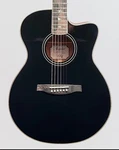 Prs Se Angelus A20E Acoustic-electric Guitar Black Top. Fixed Price $399.99.