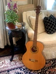Rare Fender Acoustic Electric Bass Guitar BG-32 Ns Mint. Fixed Price $499.00.