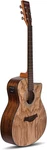 Acoustica Series Electric Guitar - (ash Wood). Fixed Price $177.68.