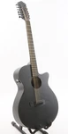 Ibanez AEG1221 Black Out Acoustic Electric Guitar With Spruce Top. Fixed Price $328.49.