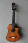 Brand New Cordoba Fusion 12 Nylon String Acoustic/electric Classical Guitar. Fixed Price $699.99.