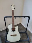 Washburn SBF-24 Thinline With Hard Shell Case. Fixed Price $375.00.