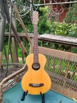 Rare Mitchell SS-F10N Ovation-style Parlor Guitar, Repaired. Fixed Price $380.00.