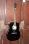 Savannah SGD-12 Dreadnought Size Steel String Acoustic Guitar. Fixed Price $125.00.