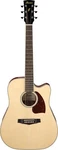 Ibanez PF16WCE-NT. Fixed Price $438.89.