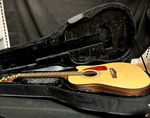 Used Fender DG-22CE Nat Acoustic Electric Guitar Ebony W/carry Bag. Fixed Price $420.00.