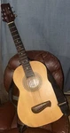 Olympia Tacoma Acoustic Guitar. Fixed Price $190.00.
