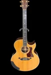 815C Taylor Guitar - Golden Era. Fixed Price $2599.99.