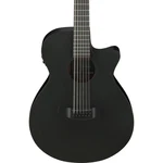 Ibanez AEG1221 12-STRING Acoustic Electric Guitar Black Out. Fixed Price $389.99.