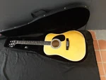 Esteban American Legacy AL-100 Electric Acoustic Guitar With Case. Fixed Price $149.00.