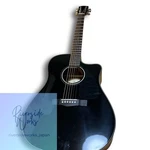 Fender CD-110CE Electric Acoustic Guitar Discontinued. Fixed Price $630.23.