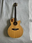Takamine Series EG-45C. Fixed Price $379.00.