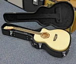 Washburn Apprentice AG40CEK Grand Auditorium Acoustic Electric Guitar W/ Case!. Fixed Price $399.00.