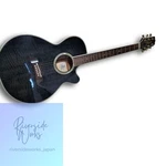 Takamine Accur Eq Acoustic Guitar With Case. Fixed Price $1059.71.