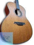 Bromo BAT2M Acoustic Guitar Mahogany With Case. Fixed Price $583.19.