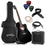 Thinline Cutaway Acoustic Electric Guitar Package With Eq & 10 Watt Amp. Fixed Price $166.99.