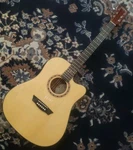 Scratch & Dent Washburn - AD5CE Acoustic Guitar Read. Fixed Price $74.99.