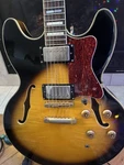 Jay Turner JT-134 Semi-hollow Electric Guitar, Gold Hardware & Abalone Inlays. Fixed Price $295.00.
