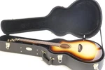 Breedlove Artista Pro Concert 6-STRING Acoustic Guitar (burnt Amber). Fixed Price $619.99.