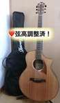 Ibanez AEW22CD-NT Acoustic Electric Guitar With Case Adjusted Action. Fixed Price $658.84.