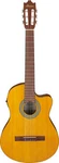 Ibanez GA3ECE-OAM. Fixed Price $227.53.