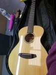 Breedlove Eco Discovery Companion Acoustic Guitar Model. Fixed Price $305.00.