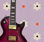 Custom Purple Flame Maple Lp Electric Guitar Hh Pickups U.s Shipping. Fixed Price $169.20.