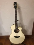 Yamaha APX1000 Acoustic Electric Guitar Solid Spruce Whitep. Fixed Price $908.99.