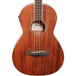 Ibanez PNB14E 4-STRING Acoustic-electric Bass Guitar, Okoume Top, Open. Fixed Price $329.99.