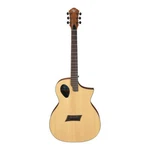 Michael Kelly Forte Port Classical Electric Guitar *usa Small Business*. Fixed Price $549.99.