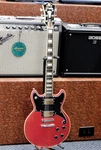 D'angelico Premier Brighton Electric Guitar W/ Gig Bag! New Old Stock! 1/2 Price. Fixed Price $399.00.